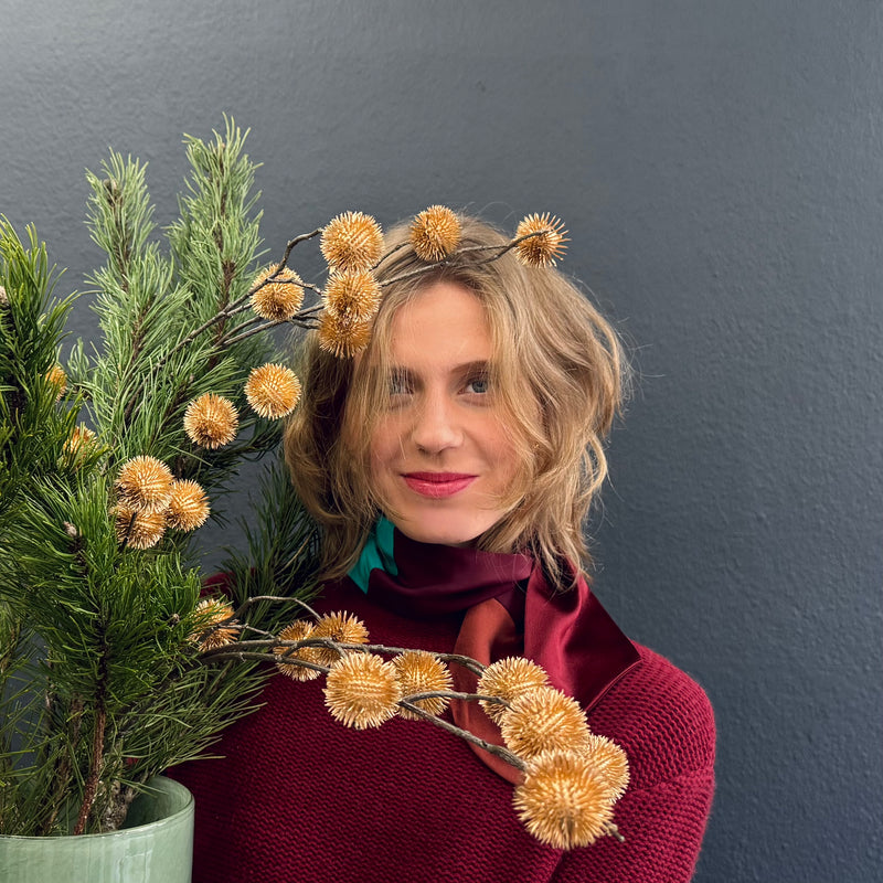 SCOUT 020 - COLOR MIX